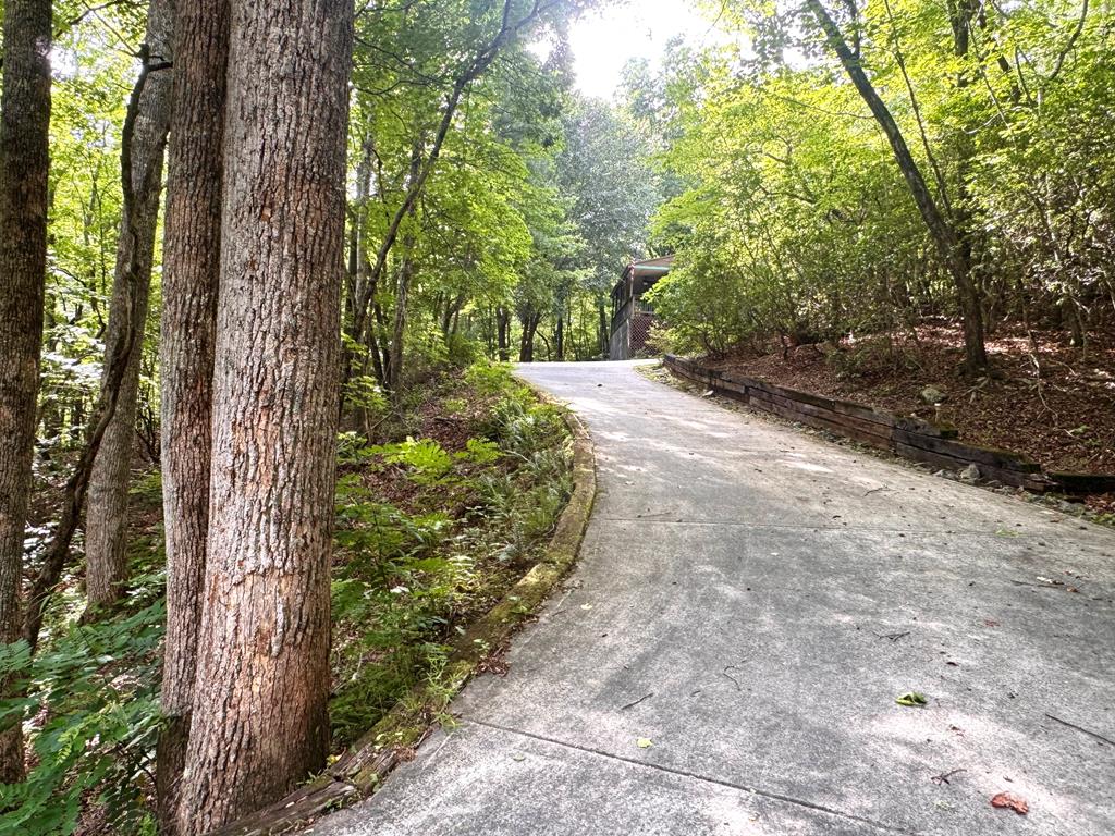 4777 Laurel Mountain Road Hiawassee, GA 30546 - Photo 33 of 34
