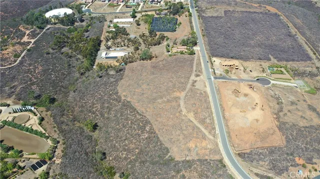 a view of a garden with a pathway