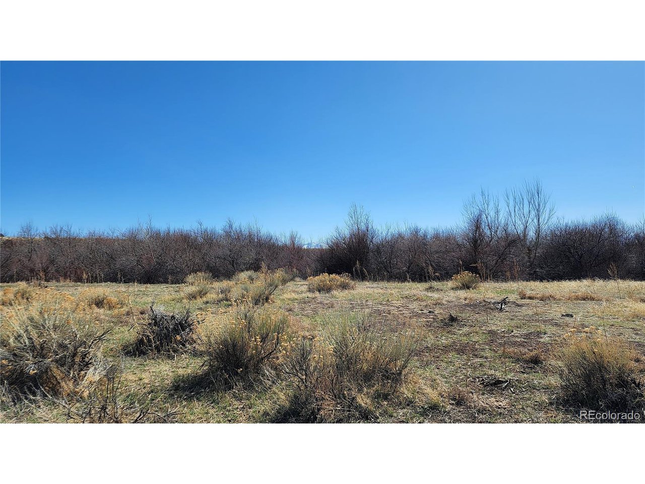 161 Colorado Land & Livestock, Unit F Rye, CO 81069 - Photo 25 of 39 Gallery Image 25