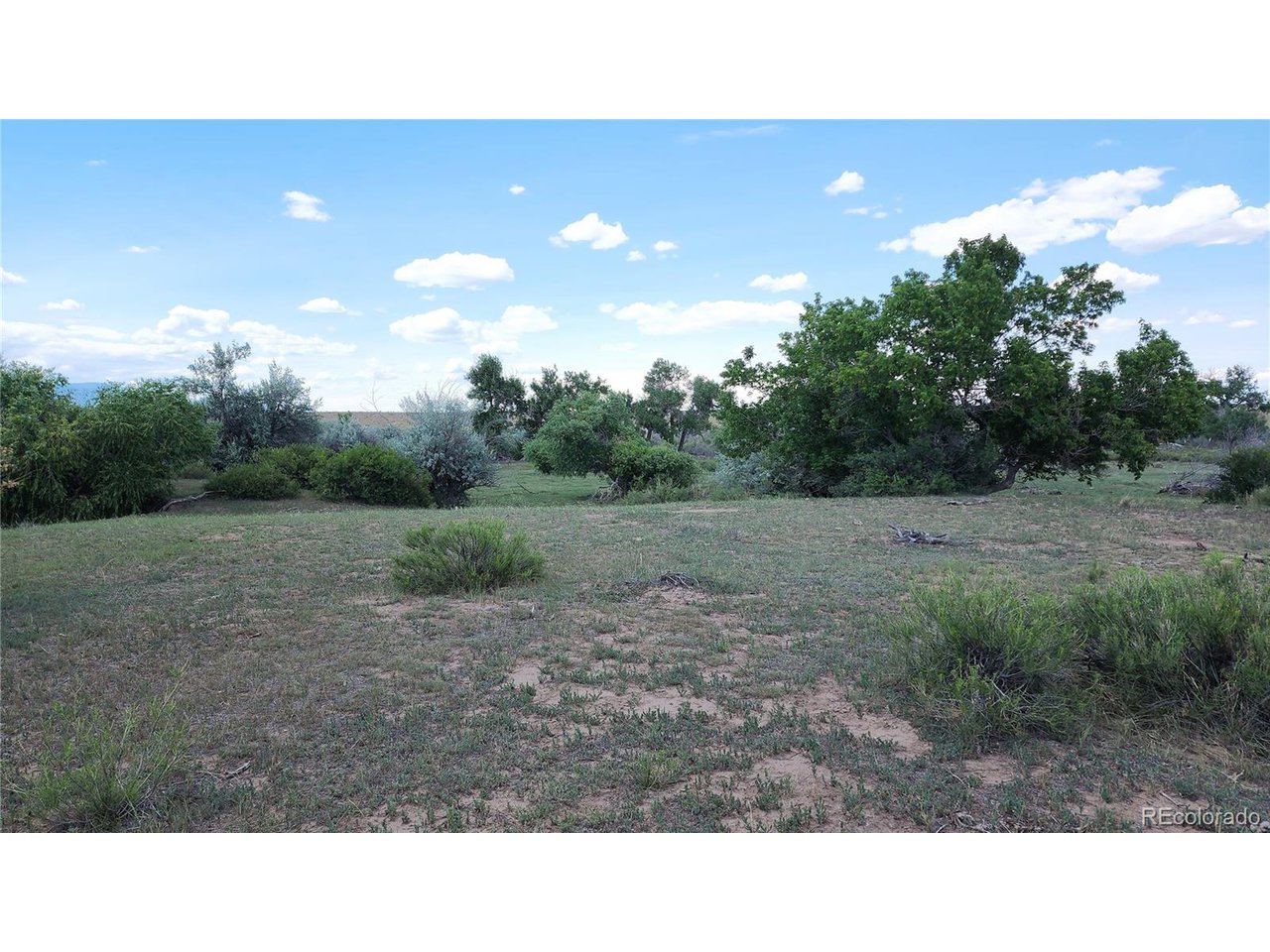 161 Colorado Land & Livestock, Unit F Rye, CO 81069 - Photo 4 of 39 Gallery Image 4