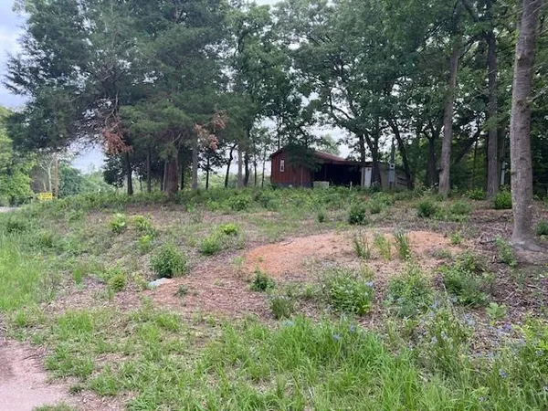 a front view of a house with a yard and tree