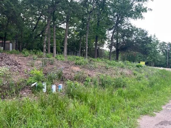 a view of backyard with green space