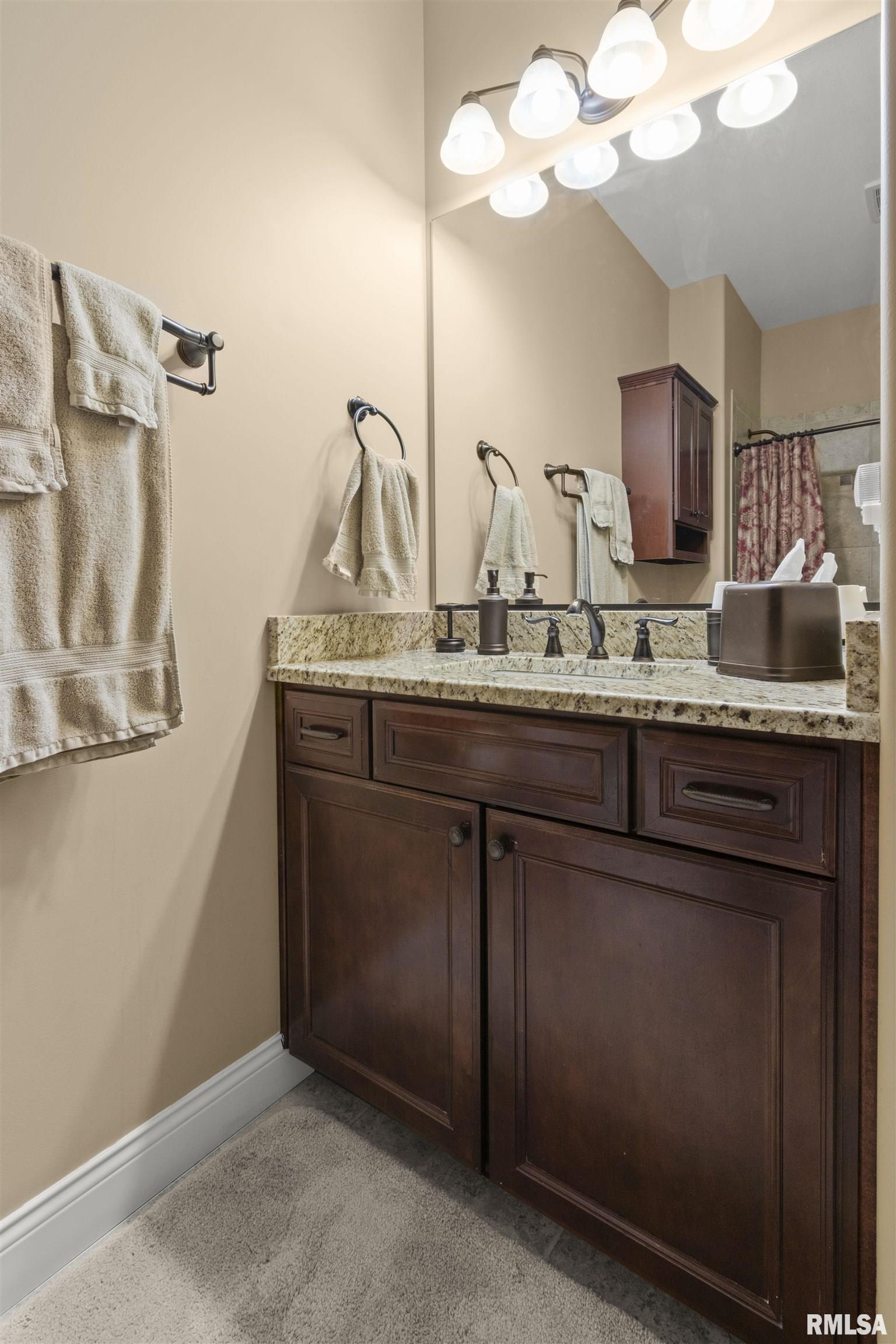 11124 North Tuscany Ridge Court Dunlap, IL 61525 - Photo 24 of 53