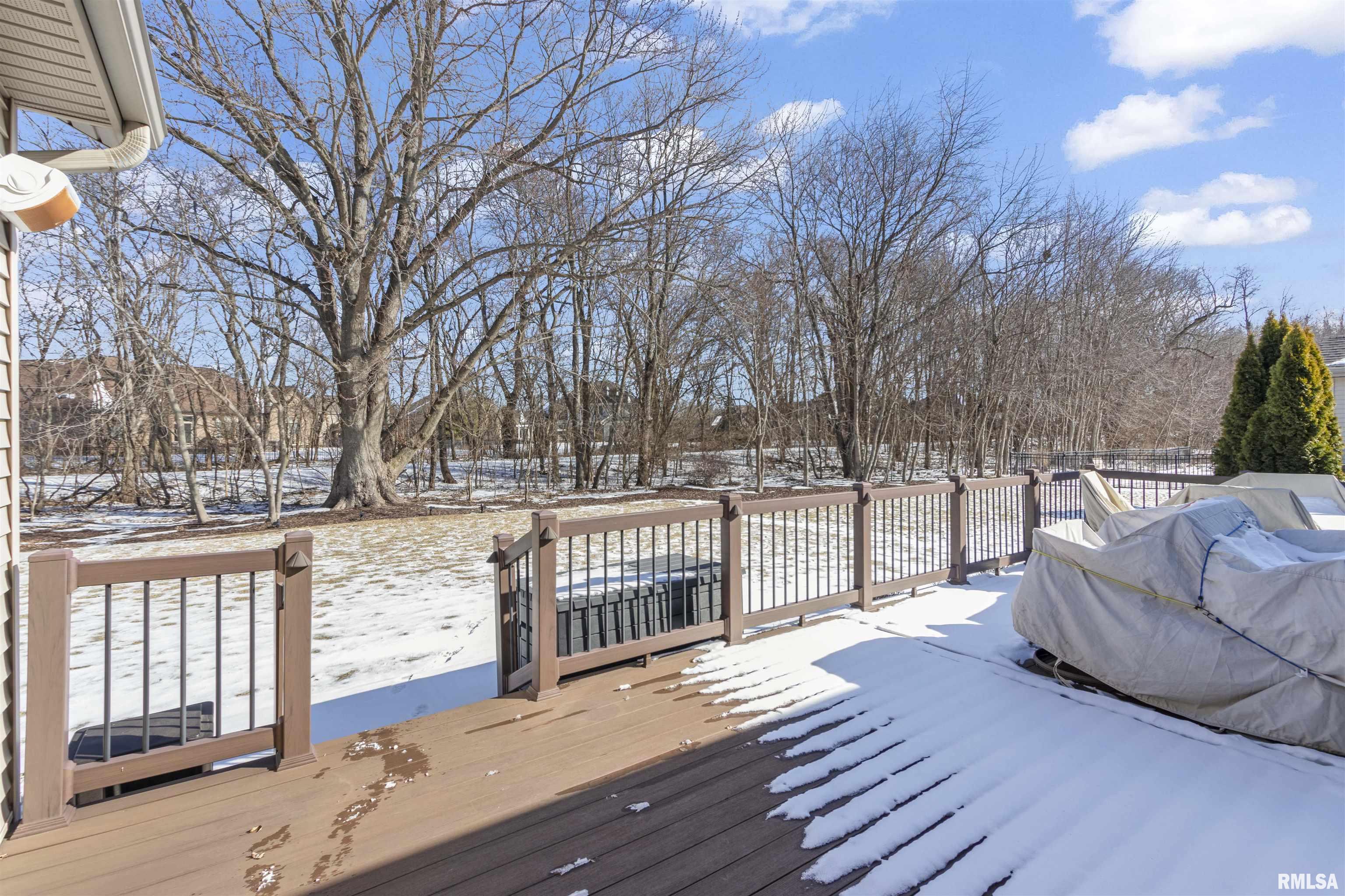 11124 North Tuscany Ridge Court Dunlap, IL 61525 - Photo 42 of 53