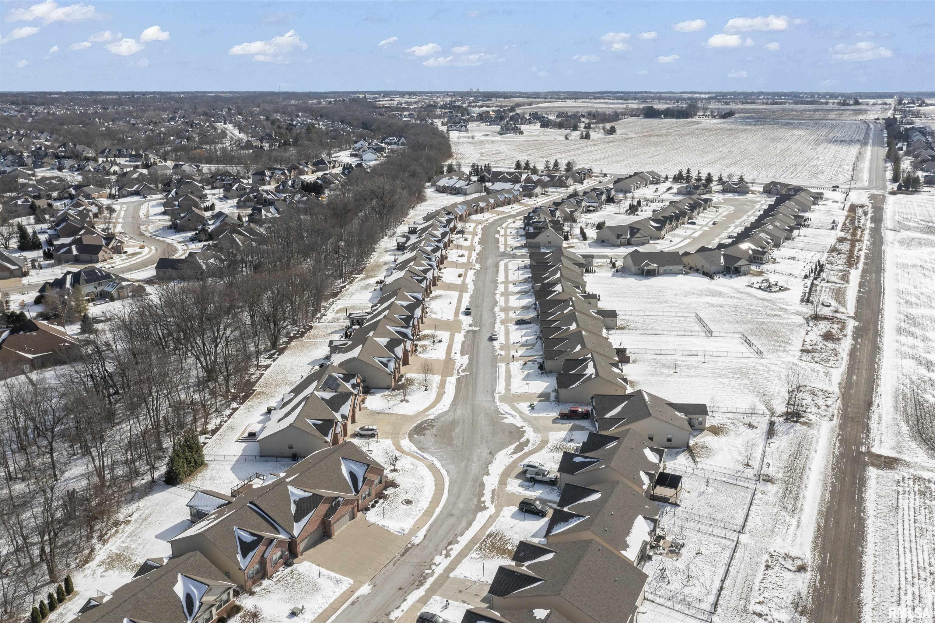 11124 North Tuscany Ridge Court Dunlap, IL 61525 - Photo 52 of 53