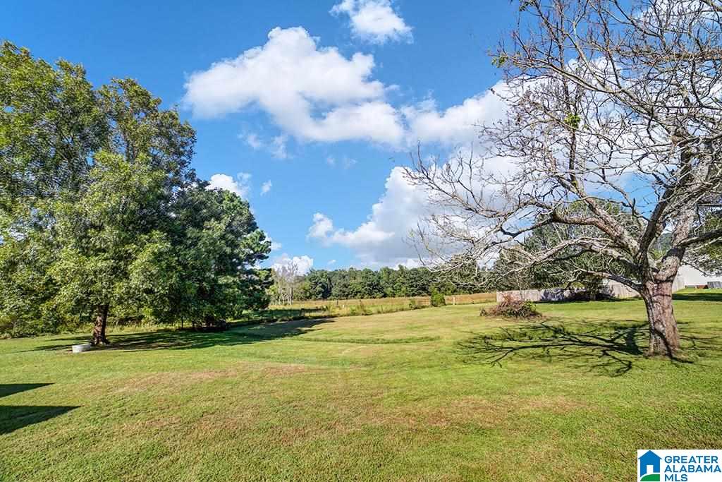 2919 Kelly Creek Road Odenville, AL 35120 - Photo 4 of 17