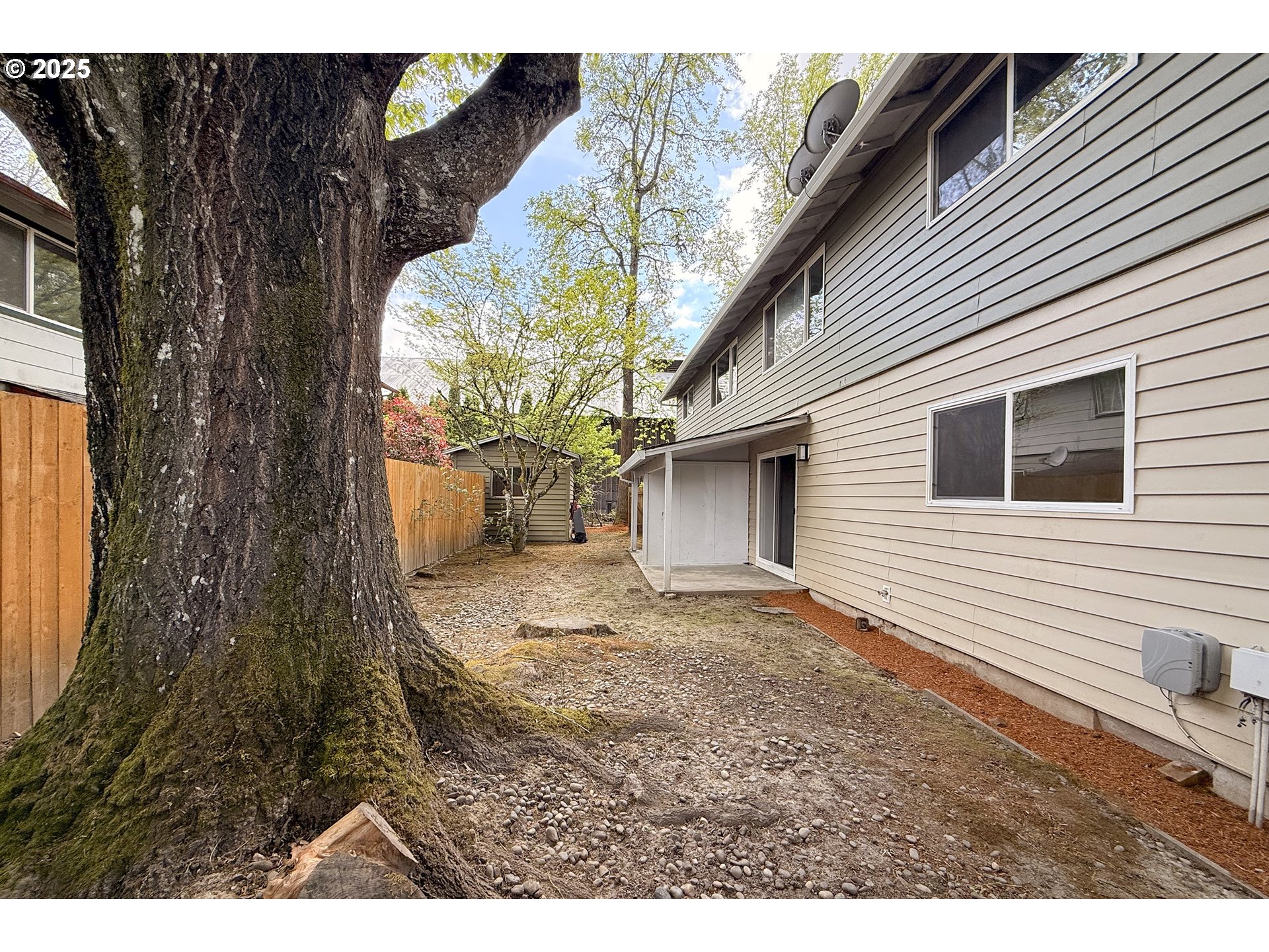 1126 South Jasper Street Cornelius, OR 97113 - Photo 4 of 47 a view of a backyard with a large tree