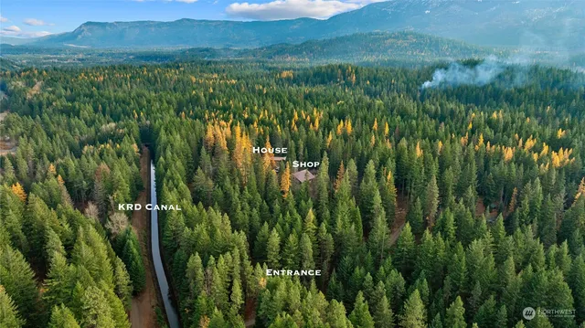 a view of a lush green forest with a lake