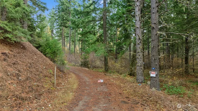 a view of backyard with green space
