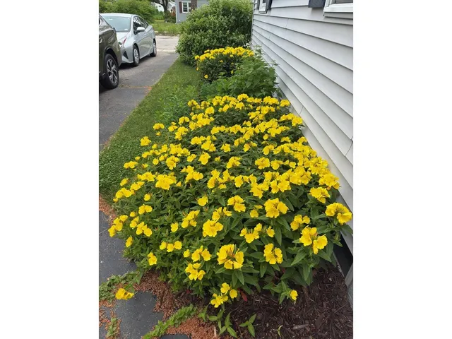 $605,000 | 17 Westward Drive, Burlington, VT 05408