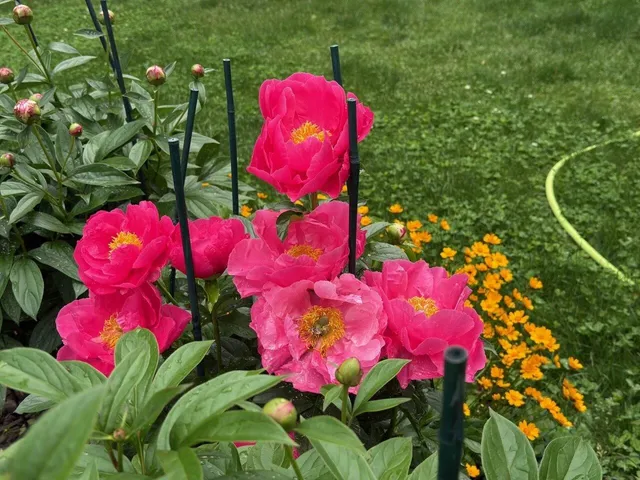 $605,000 | 17 Westward Drive, Burlington, VT 05408