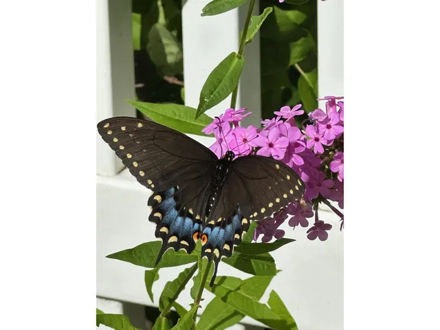 $605,000 | 17 Westward Drive, Burlington, VT 05408