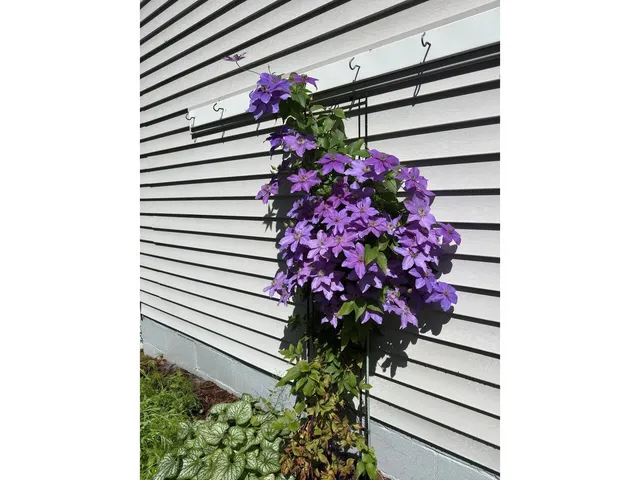 $605,000 | 17 Westward Drive, Burlington, VT 05408