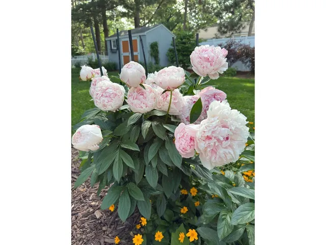 $605,000 | 17 Westward Drive, Burlington, VT 05408