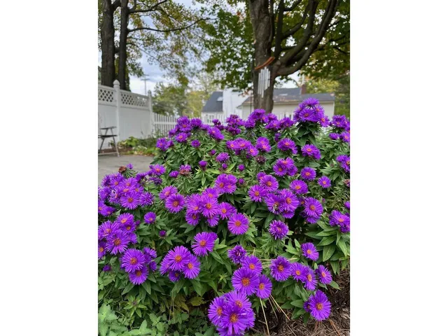 $605,000 | 17 Westward Drive, Burlington, VT 05408