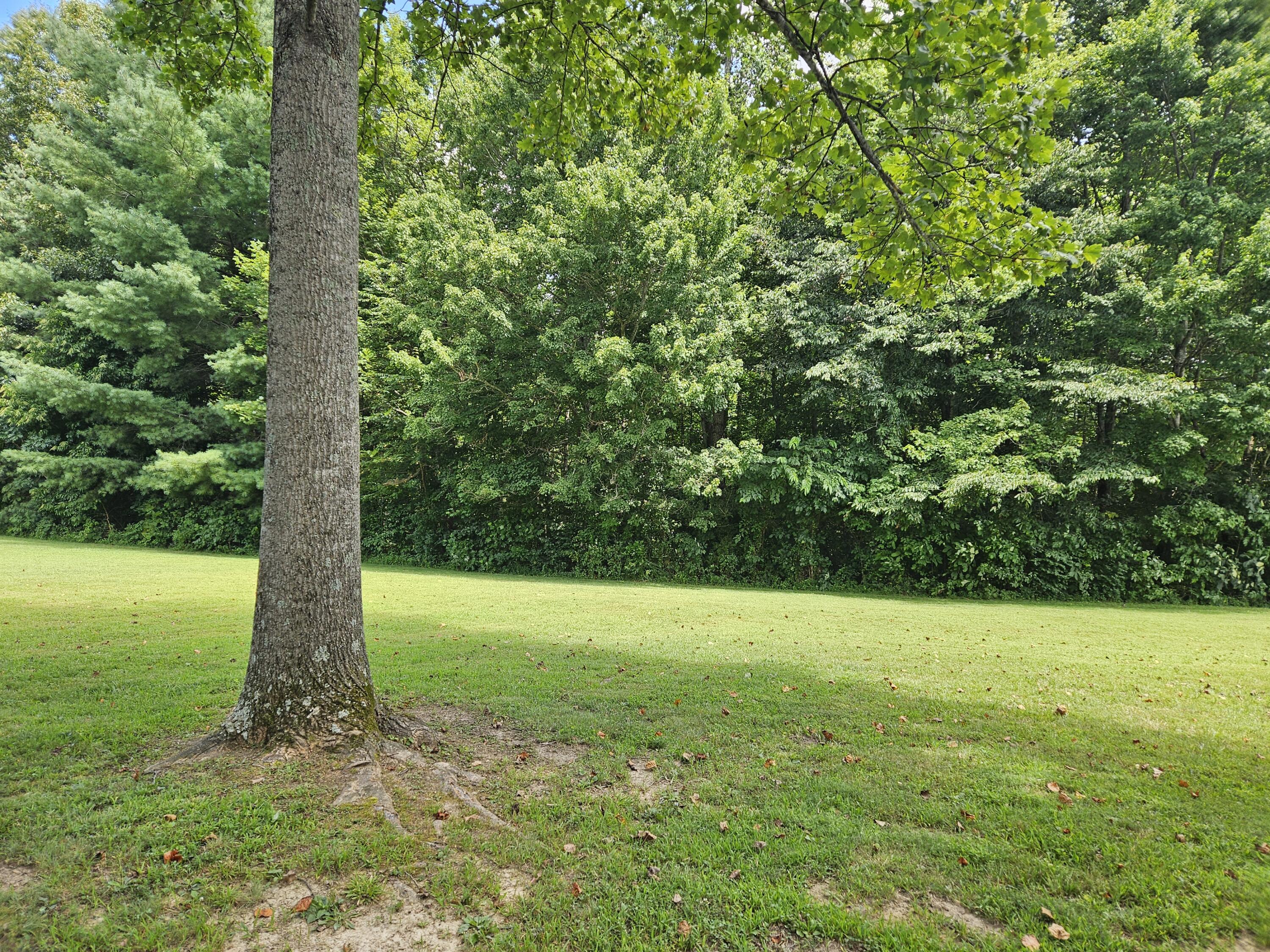 1775 Dry Ridge Road Liberty, KY 42539 - Photo 69 of 83 20250726_132351