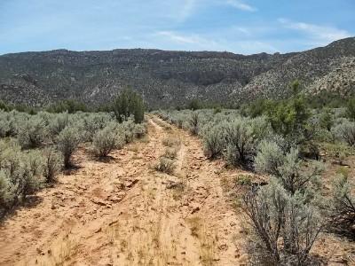 X7 X7 Road Bedrock, CO 81411 - Photo 6 of 15 dnelookingsouth