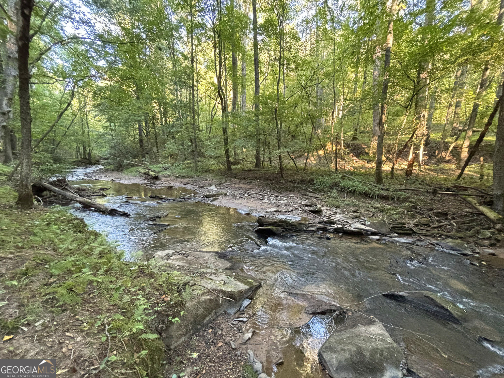 396 Mt Springer Road Ellijay, GA 30540 - Photo 46 of 50
