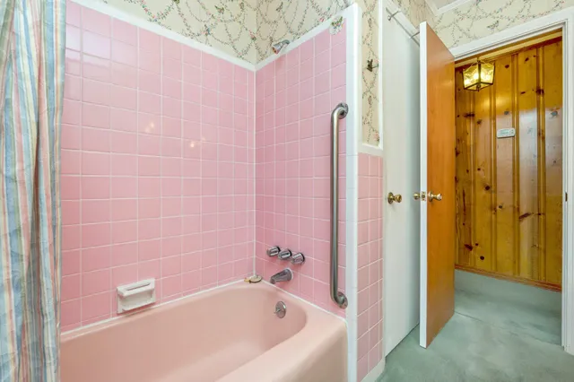 a view of a garden with plants and trees