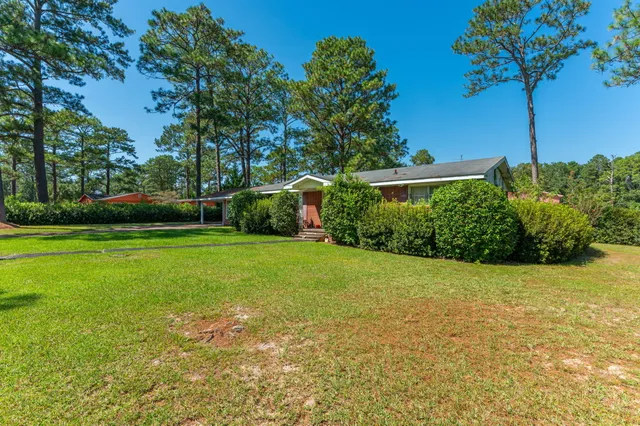 a view of a yard with a tree