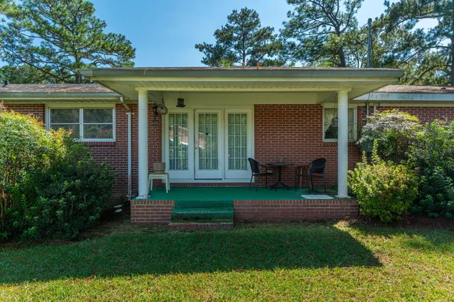 a view of a backyard with plants and large trees
