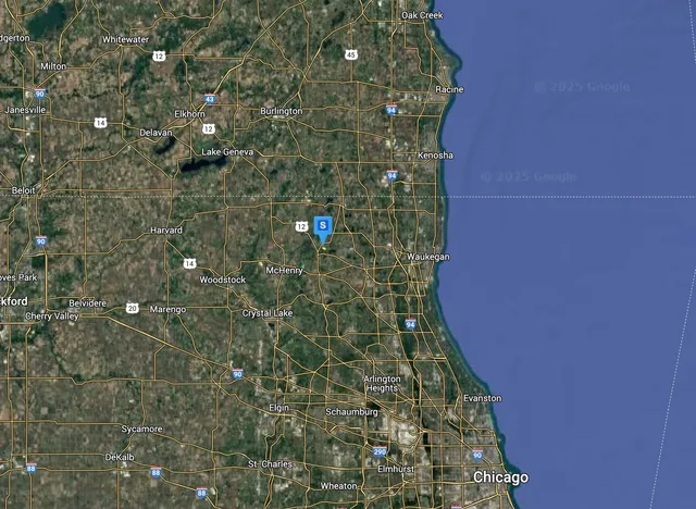 a close up of a plant in a bathroom