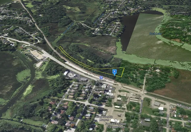 a close up of a tree