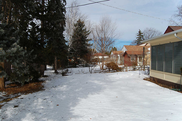 334 Stratford Road Des Plaines, IL 60016 - Photo 16 of 16 a view of a street with of trees