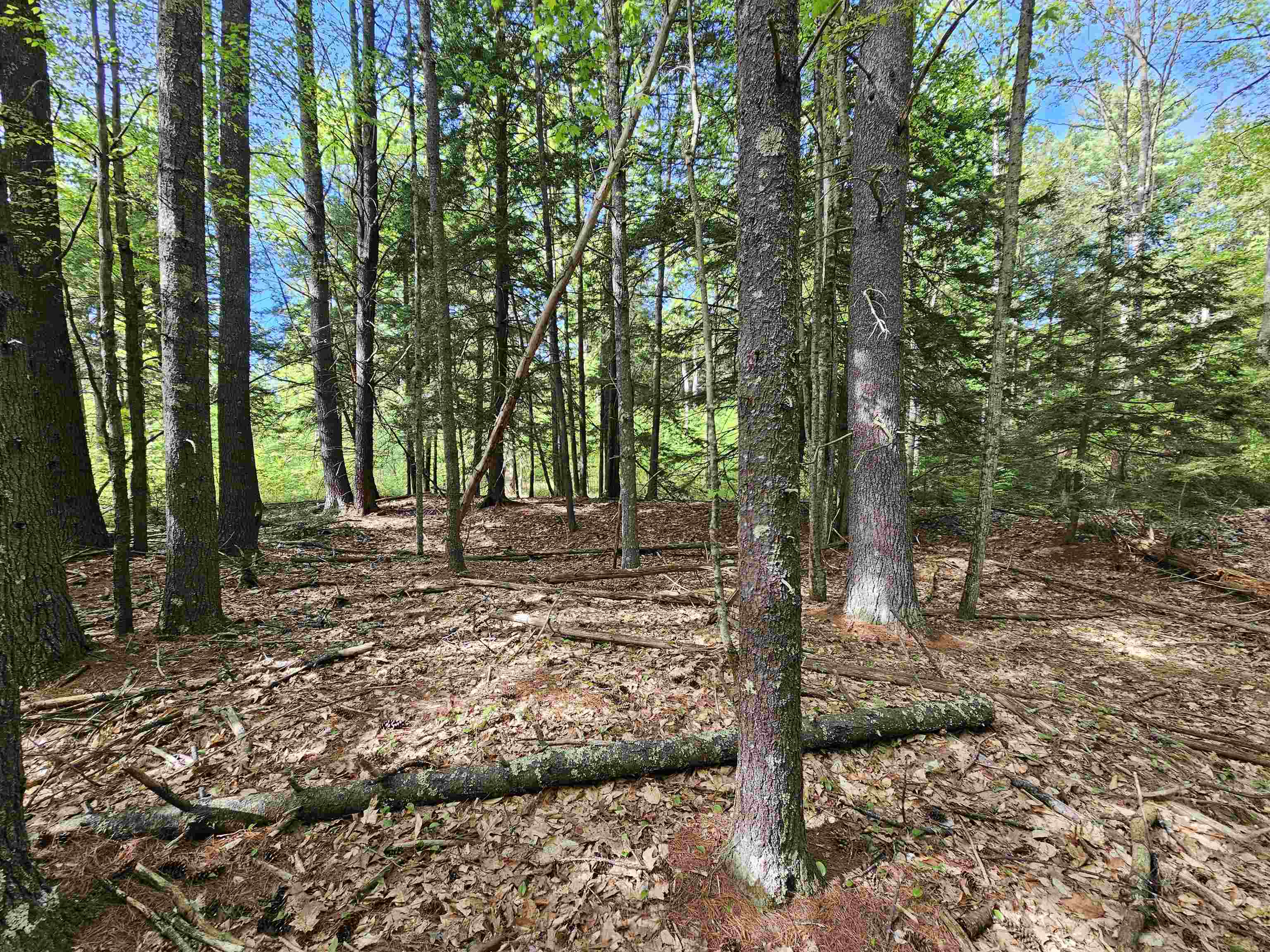 Lot 26 Province Road Belmont, NH 03220 - Photo 8 of 38 Gallery Image 8