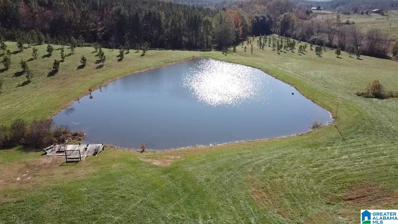 334 Isbell Road Delta, AL 36258 - Photo 15 of 37