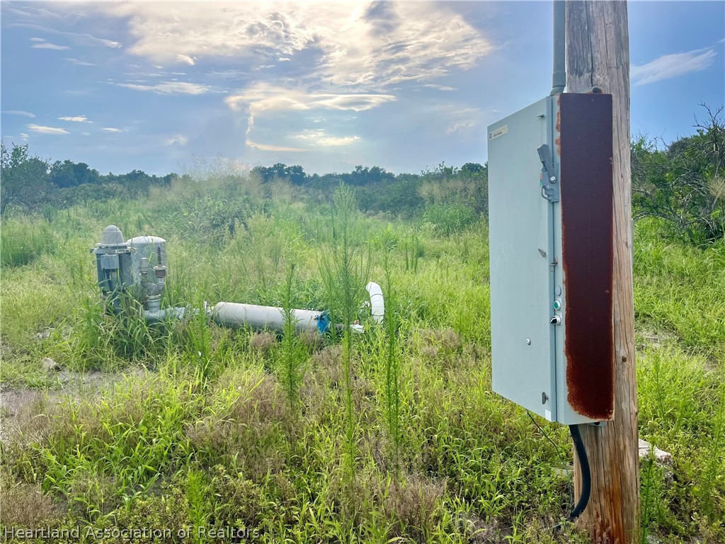 Hayman Road Wauchula, FL 33873 - Photo 5 of 8