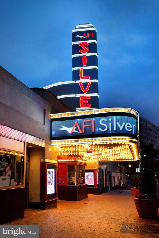 1320 Fenwick Lane, Unit 507 Silver Spring, MD 20910 - Photo 45 of 46 a view of front door with building