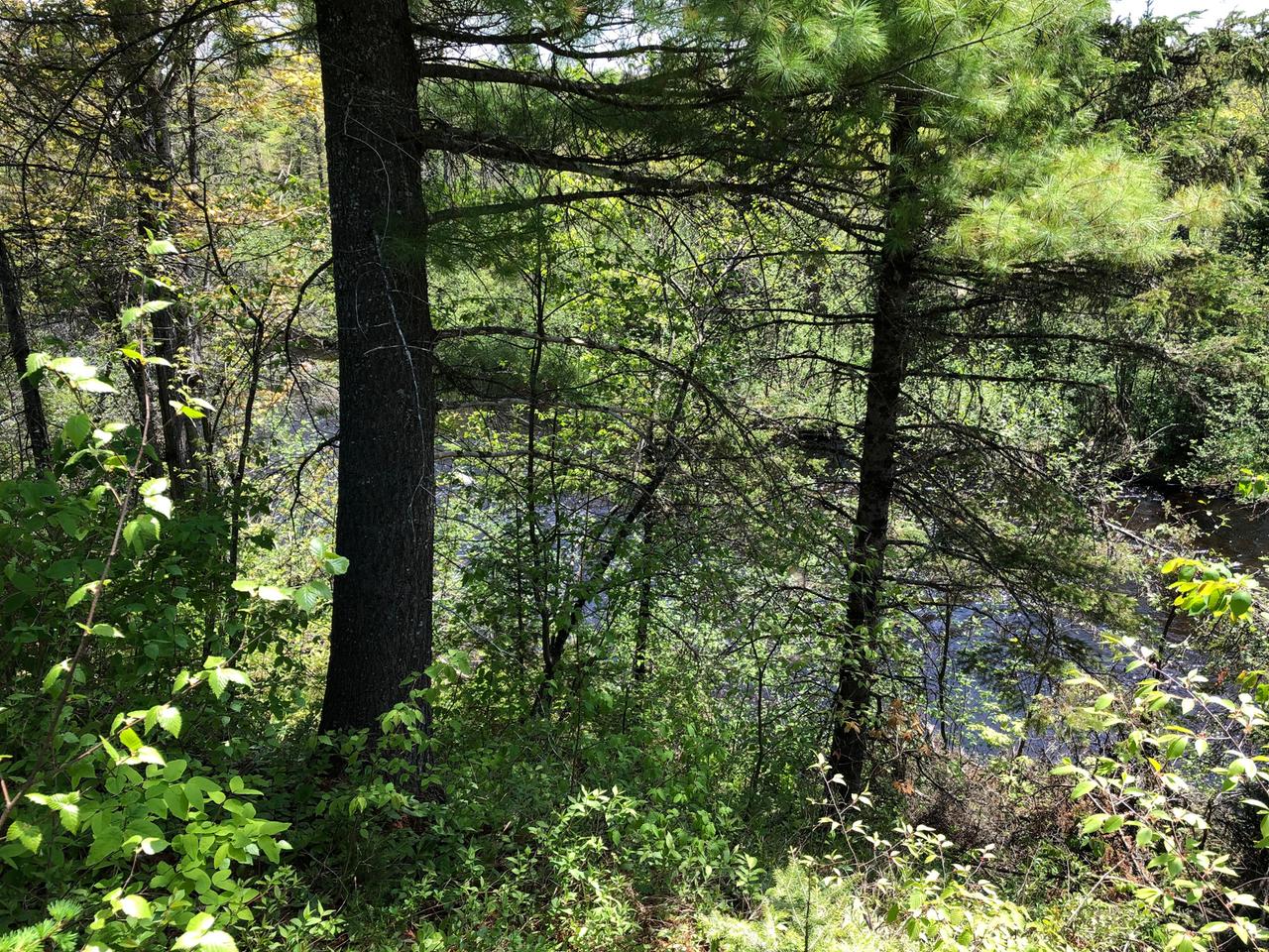 Off West Harding Road Bessemer, MI 49911 - Photo 5 of 30 Gallery Image 5
