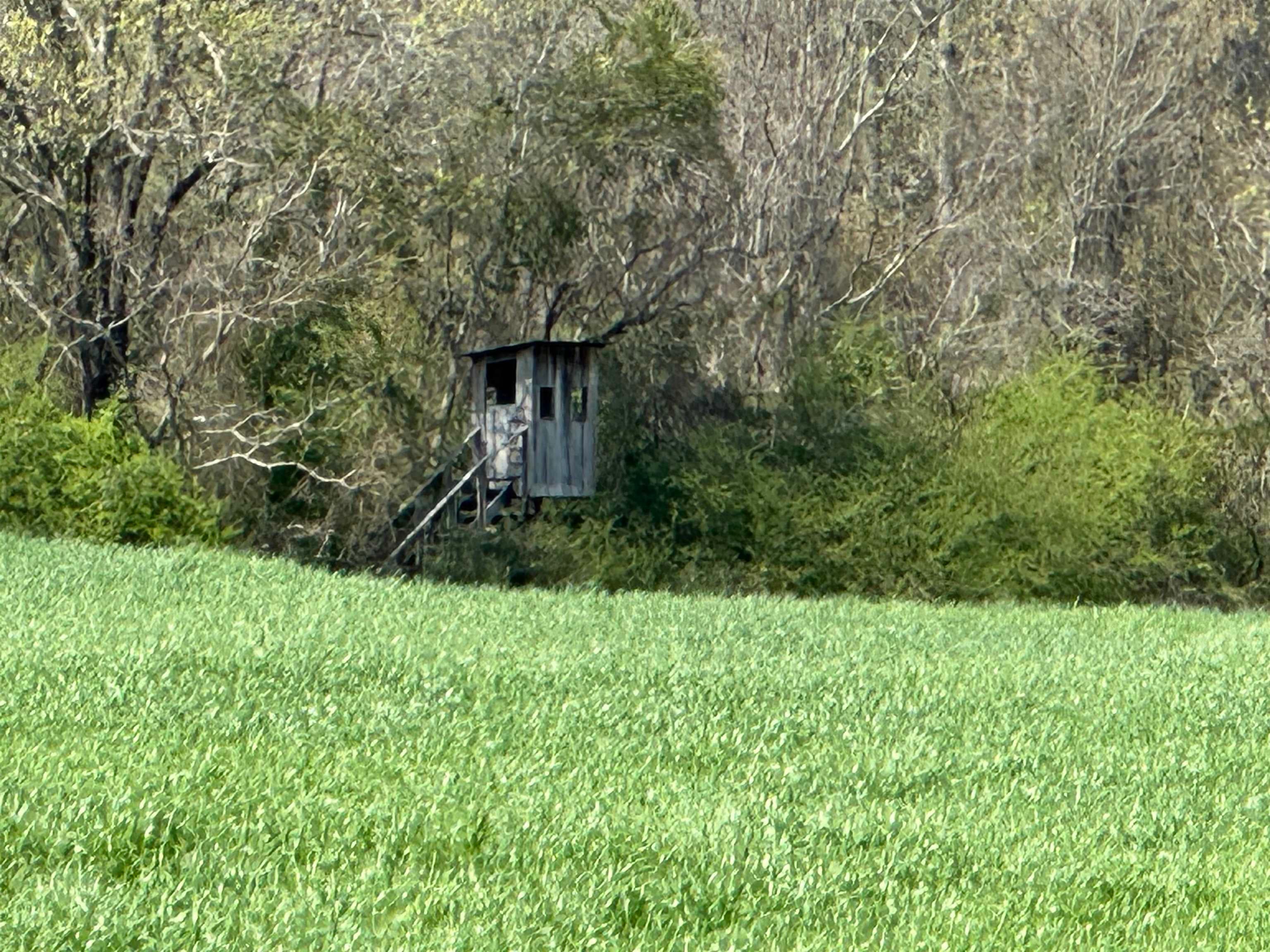 36625 Hesters Store Road Red Level, AL 36474 - Photo 17 of 47 Gallery Image 17