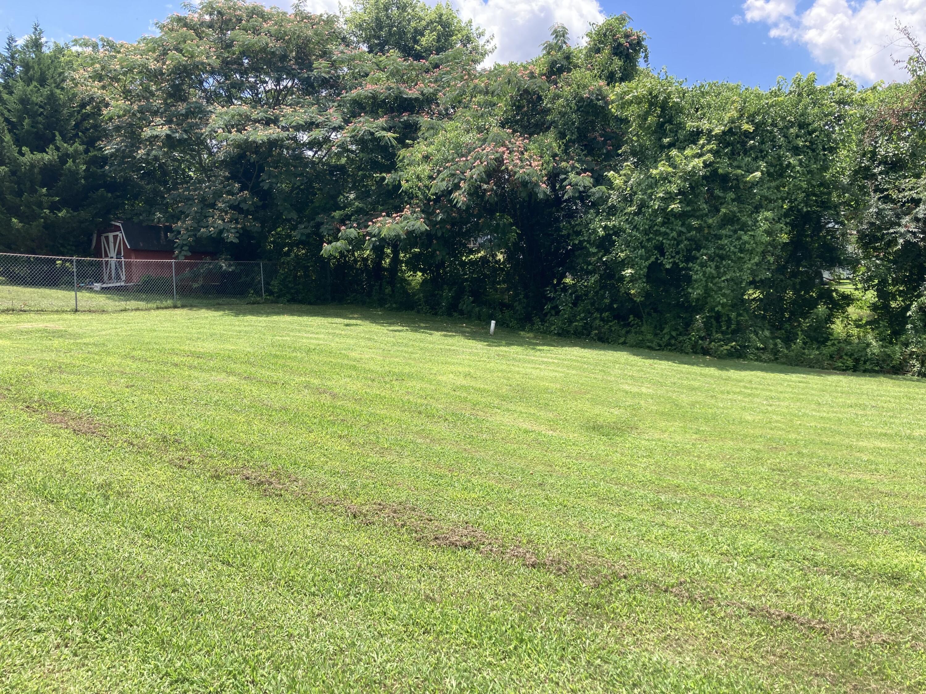 155 Spring Valley Lane Ringgold, GA 30736 - Photo 18 of 32 Semi-private large backyard
