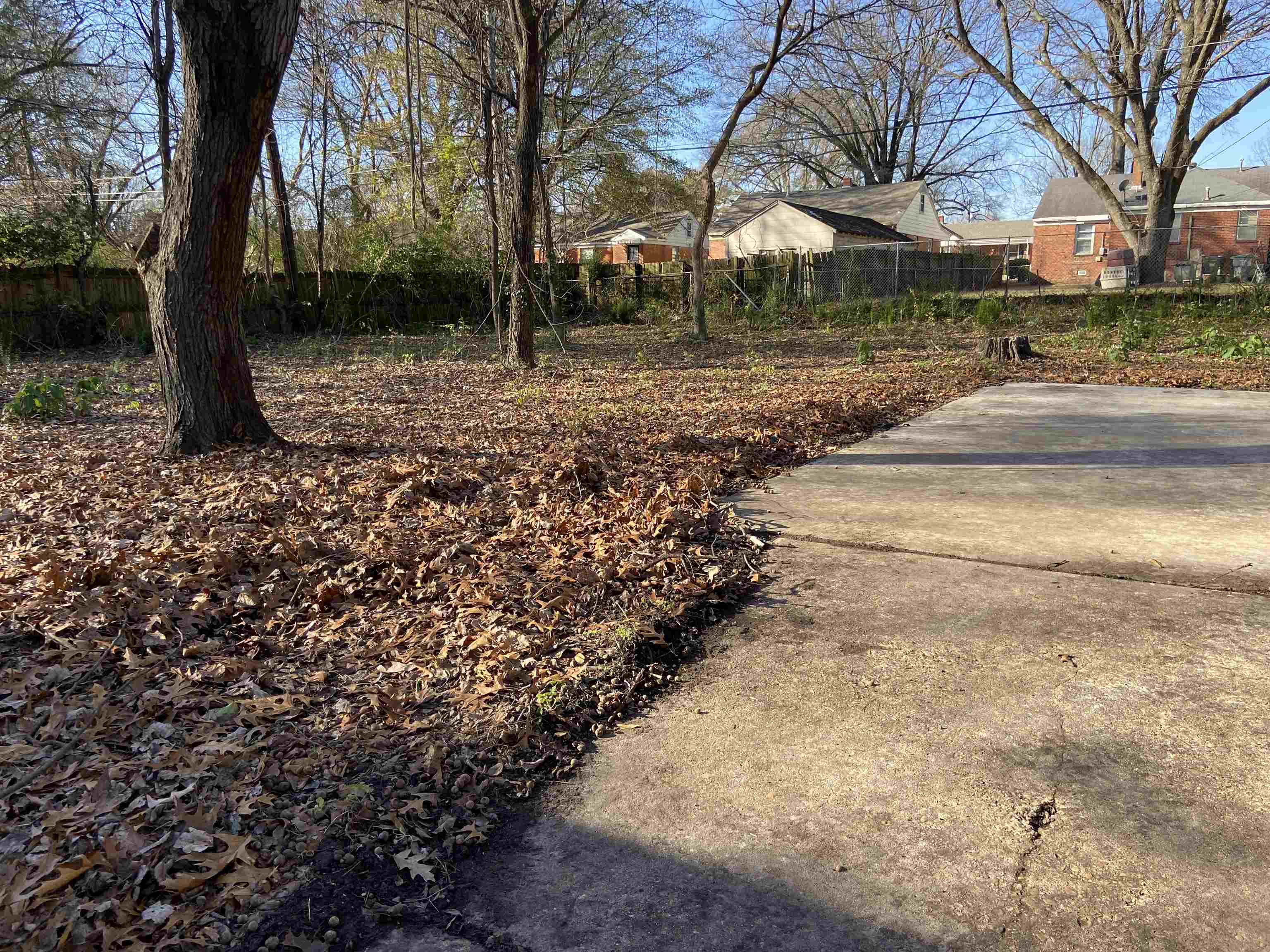 1395 Prescott Road Memphis, TN 38111 - Photo 17 of 18 a view of a yard with trees