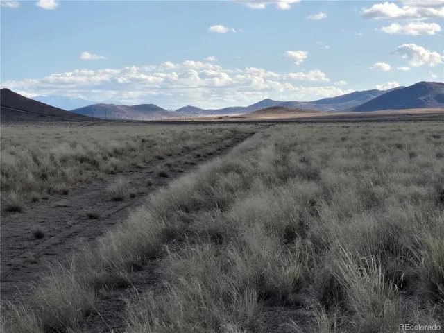 a view of a big yard