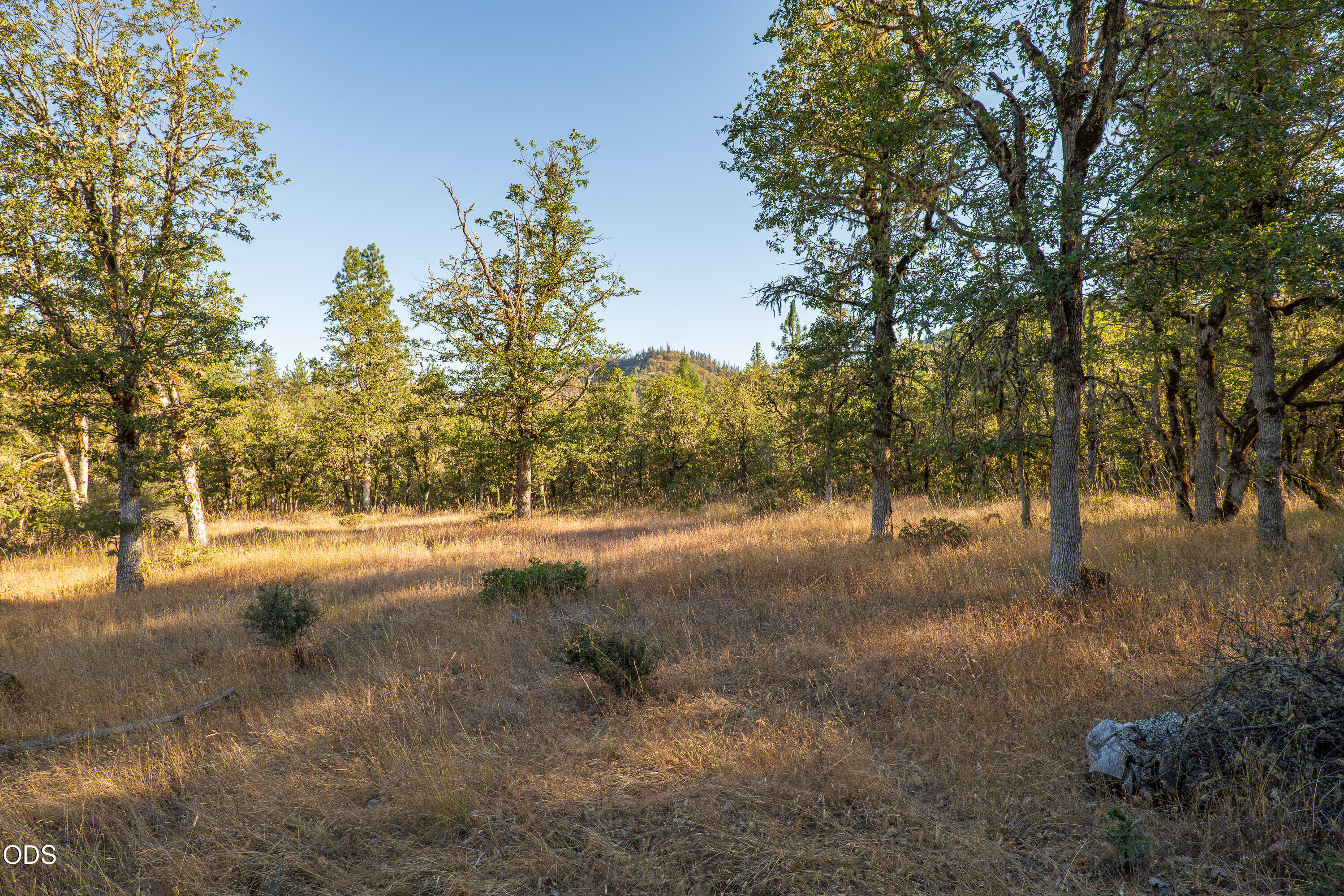 2659 Foots Creek Road Gold Hill, OR 97525 - Photo 15 of 43