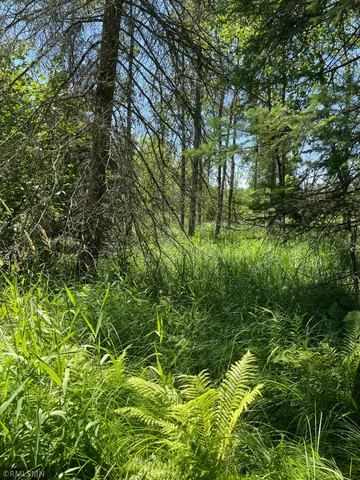 $29,900 | Tbd 70th Street Northeast, Remer, MN 56672