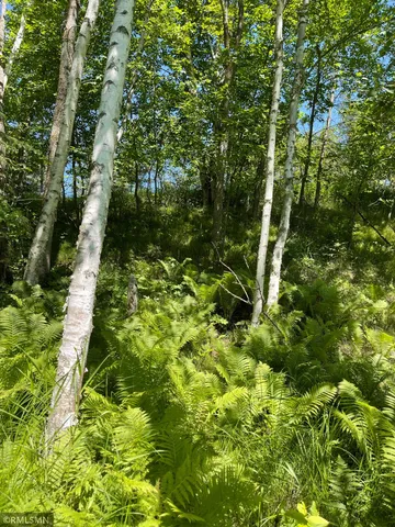 $29,900 | Tbd 70th Street Northeast, Remer, MN 56672