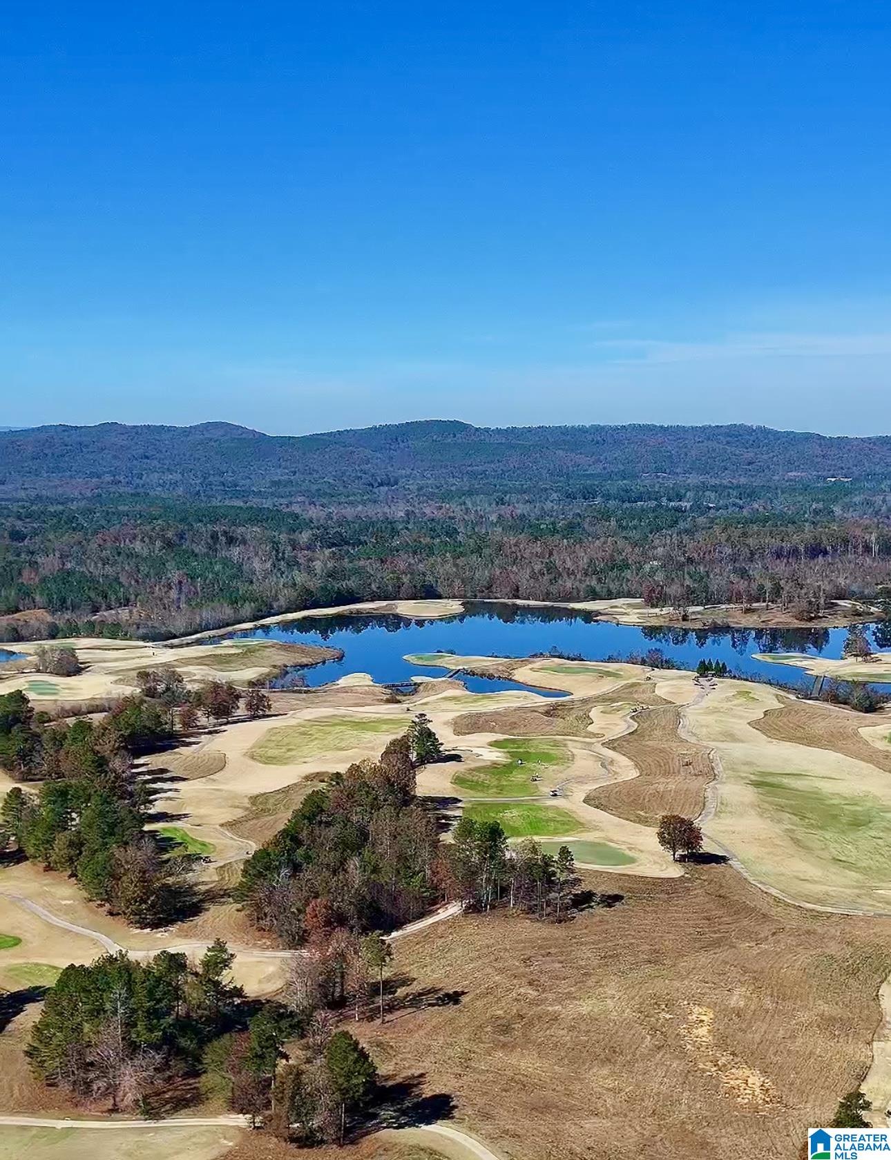 0 Gilberts Ferry Road Ohatchee, AL 36271 - Photo 2 of 11