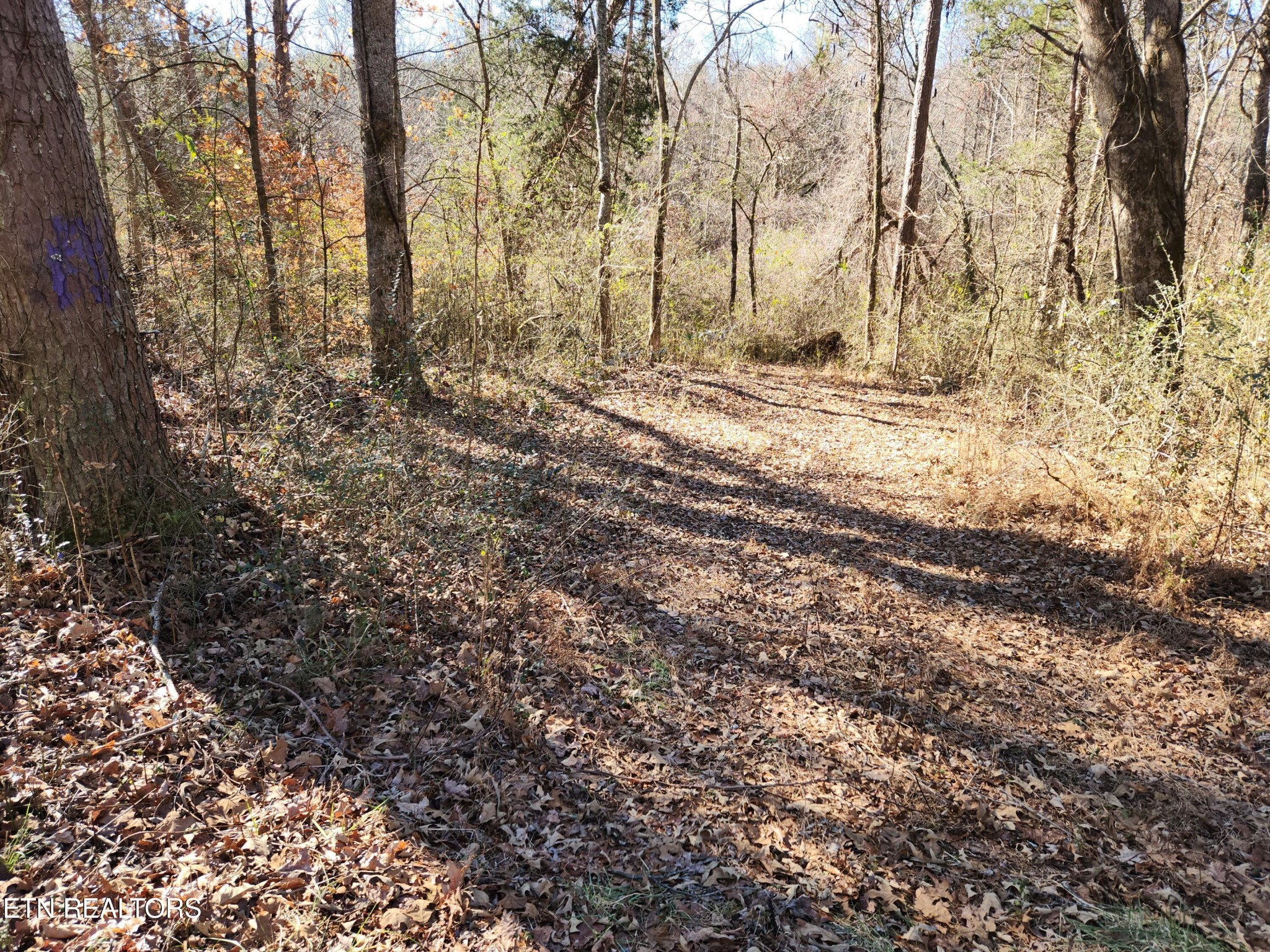 0 Creek Road Sweetwater, TN 37874 - Photo 7 of 8 Gallery Image 7