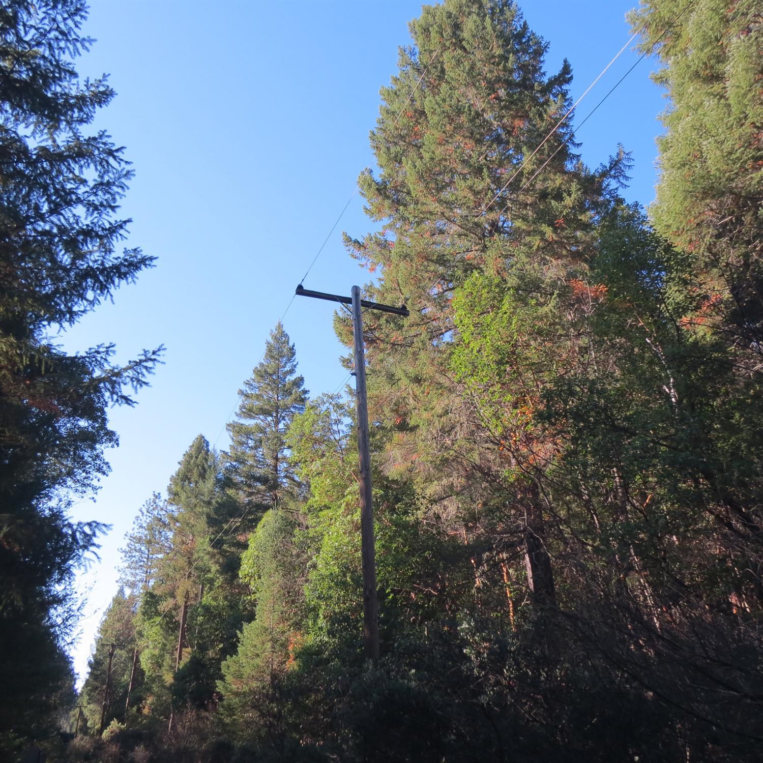 0 Hays Cutoff Road Cave Junction, OR 97523 - Photo 13 of 13 Additional Photo