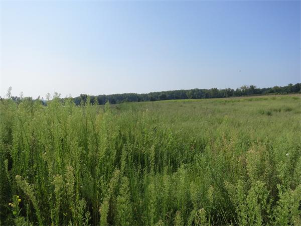 44 Honey Pot Road Hadley, MA 01035 - Photo 3 of 7 Gallery Image 3