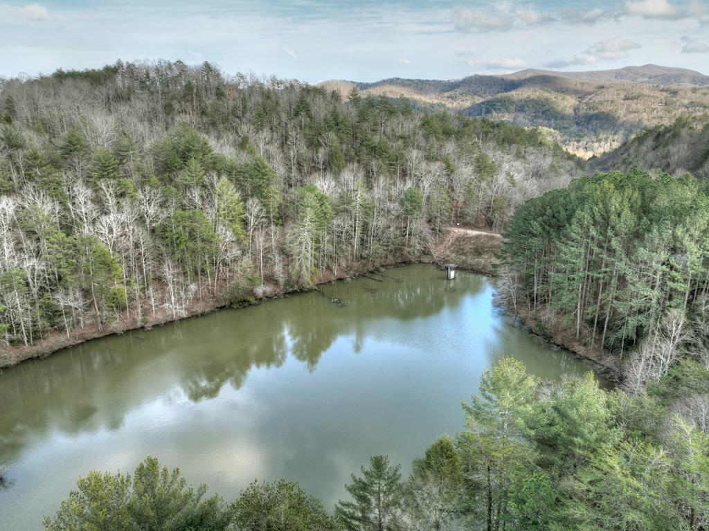 187 Bear Paw Trail Blue Ridge, GA 30513 - Photo 19 of 62 Gallery Image 19