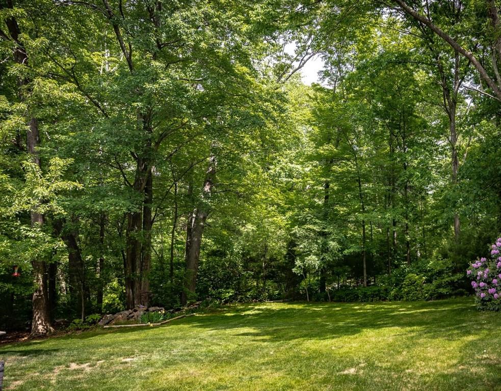 112 Upton Road Westborough, MA 01581 - Photo 41 of 41 a view of a park with large trees