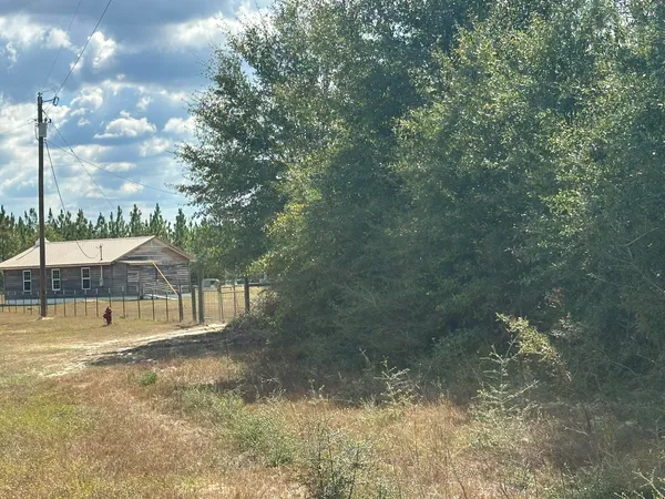 a view of a yard