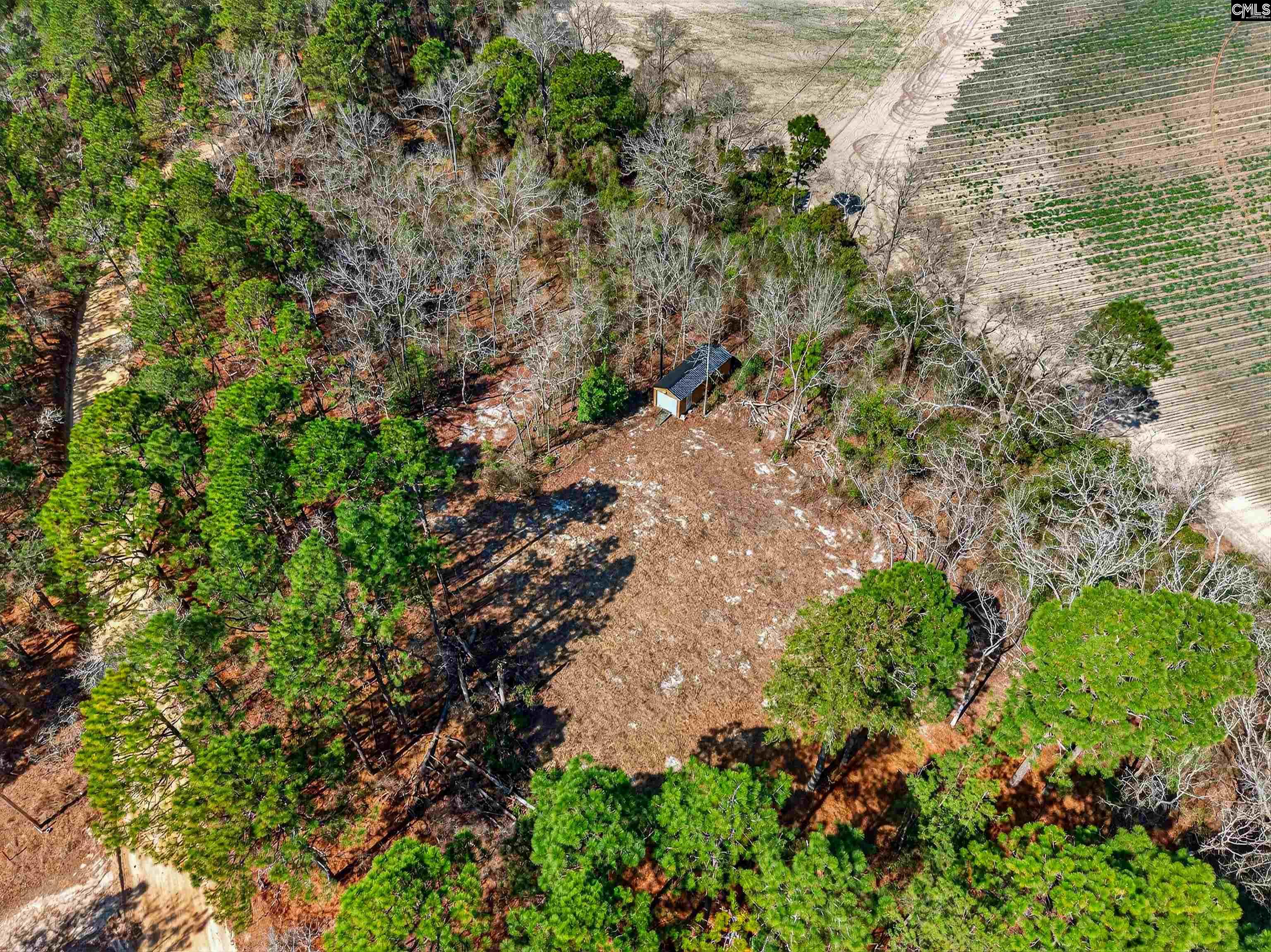 0 Rimrock Road Leesville, SC 29070 - Photo 11 of 11