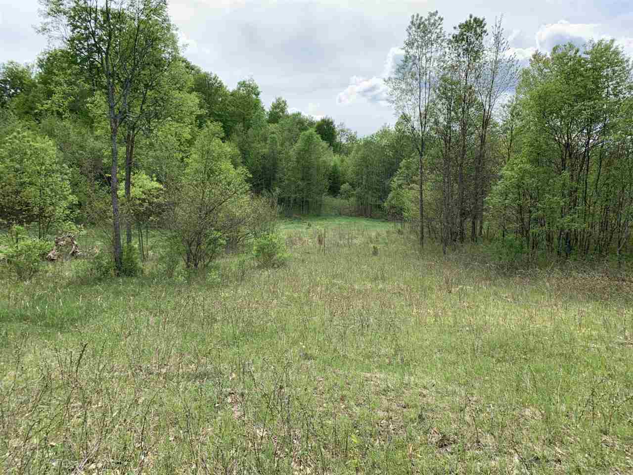 40 South 17 Road Boon, MI 49618 - Photo 4 of 33