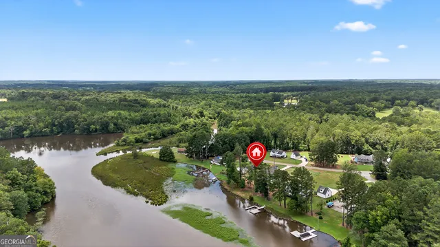 an aerial view of green landscape with trees houses and lake view